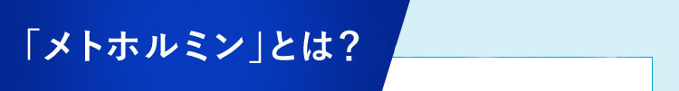 「メトホルミン」とは?